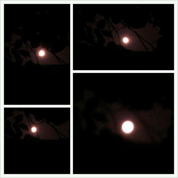 munjung22's tweet photo. 음력 5.15 보름
핸폰으로 직접 찍었습니다.
모두들 소원성취하세요.^^ http://t.co/N1GklLDoOX