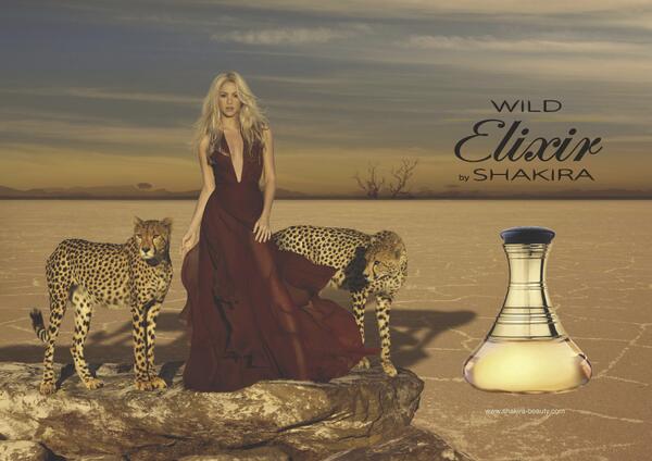 shakira-ს პირადი ფოტოები თვითერიდან shakira-ს პირადი ფოტოები თვითერიდან