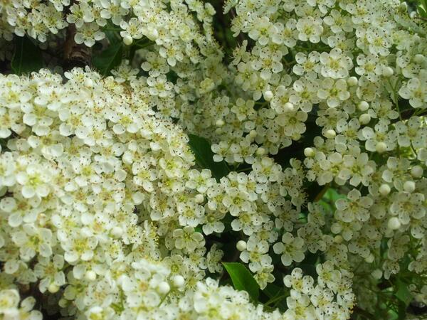 FullUpTotes's tweet photo. How delightful! http://t.co/ggw6xuzjcM