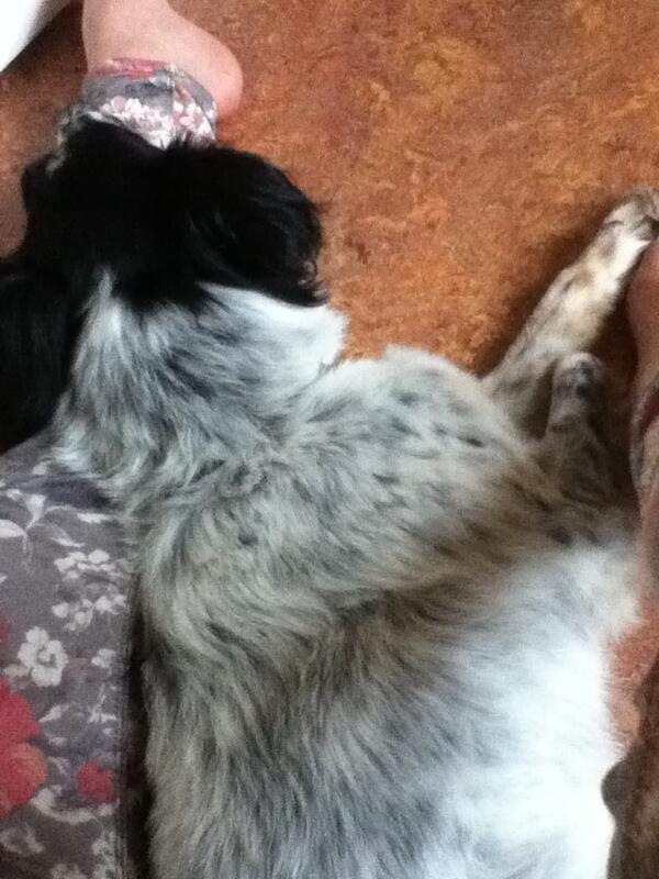 I sat down in the middle of the room and he joined me aw