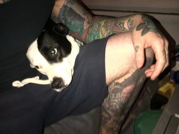 inkedForLife67's tweet photo. I ate too many ice creams http://t.co/R3APeJjTQL