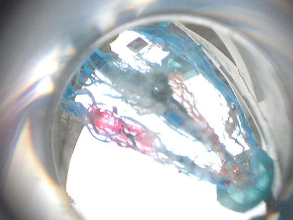 GrassingtonFest's tweet image. These pictures keep coming in from #cameracrash this one featuring @carinebrosse sculpture!