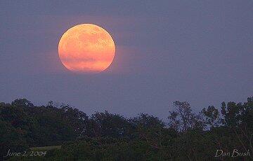 MoonriseHotel tweet picture