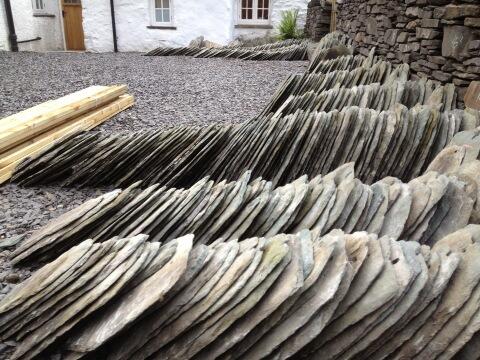 Dominic Doig tweet media