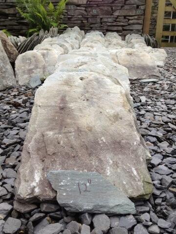 Dominic Doig tweet media