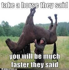 ThatAwkwardMe1's tweet image. Take a horse they said..