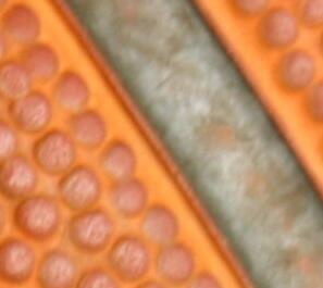 MeganNut's tweet photo. Does anyone know what this is? It's a close up image of something. https://t.co/XuzmArLtMN http://t.co/qhWbFdBISv