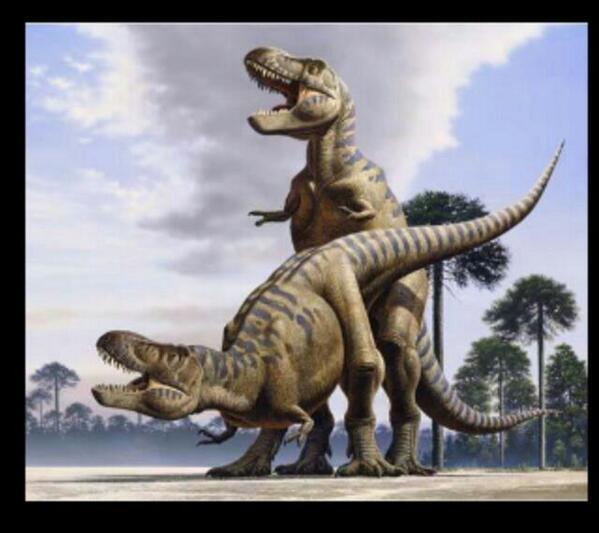 FunniestTrends's tweet photo. The Chris Bosh sex tape LEAKED! http://t.co/duonKPboXN