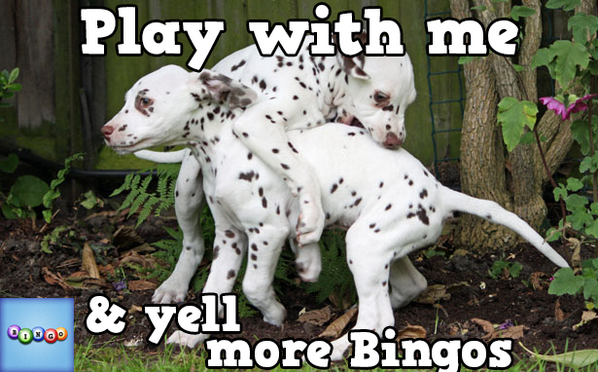 staion2's tweet photo. Play Bingo with Friends! #ilovebingo #BingoRun http://t.co/CkU4rd0tFm http://t.co/ai360DaFog