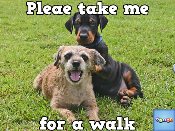 staion2's tweet photo. Play Bingo with Friends! #ilovebingo #BingoRun http://t.co/wgV5kdd1Jl http://t.co/qx8XHOaR2S