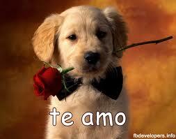 Luis22Lema's tweet photo. Me gustas, me gustas, me gustas, me gustas...^__^ Me siento feliz cuando me miras ^__^ http://t.co/y4DWUxfMz8
