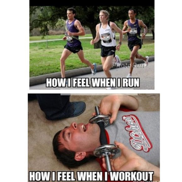 XC_RunnerLife's tweet image. #distancerunnerproblems