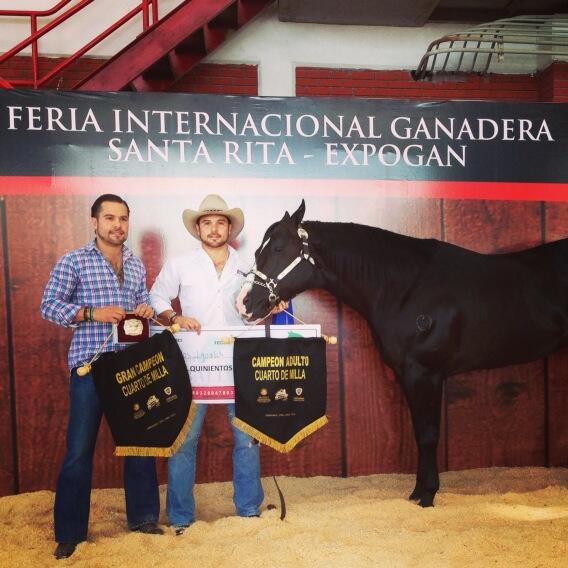 Mcruzf's tweet photo. Champion 2013 http://t.co/1oqG7oQJOe