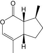 dailymolecule's tweet photo. Nepetalactone is the active ingredient in catnip #catsRcrazy #somanycats #catnip http://t.co/hTEDyMuoxh