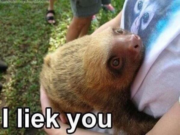 BYEhaleyy tweet picture