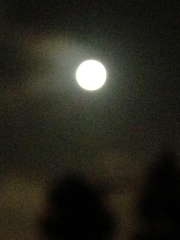 shellyniemand's tweet image. #Supermoon in #LA #fullmoon