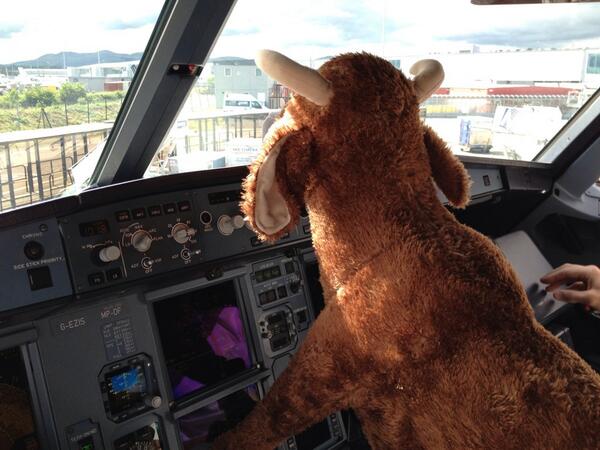 ScotchButcher's tweet image. You don't get views like this everyday! @ScotlandRHShow @qmscotland @NickNairn