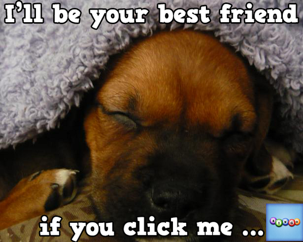 04_steph's tweet photo. Play Bingo with Friends! #ilovebingo #BingoRun http://t.co/31NkUZwbdh http://t.co/yJ9cVpoFtz