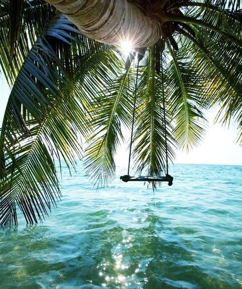 dafuqtrolls's tweet photo. Sea Swing, The Bahamas. http://t.co/CKpMZ3sPKF