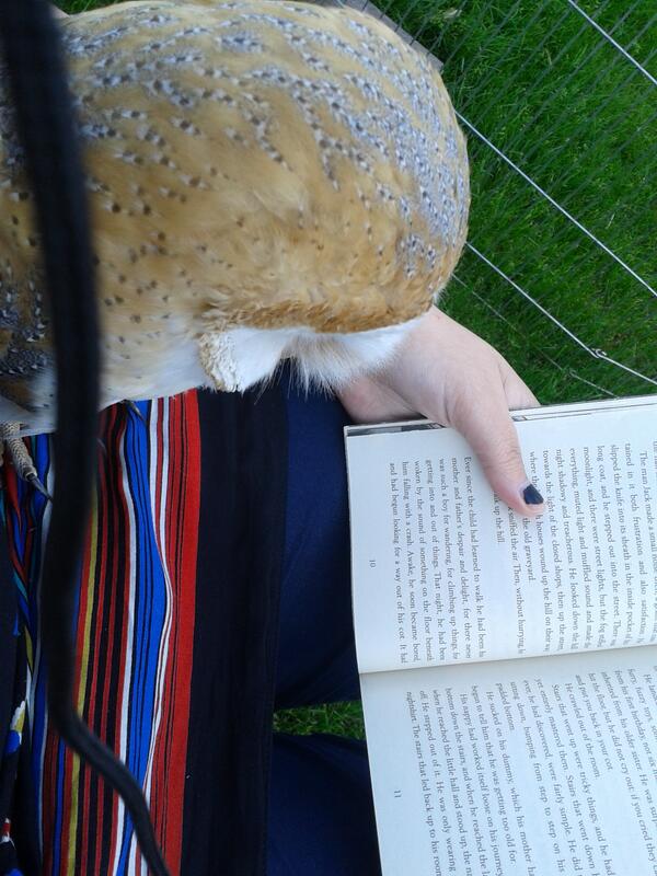 3D_Glasses's tweet image. Reading #thegraveyardbook by @neilhimself outside with an owl on my knee. She enjoys reading too @ReadWithMe_