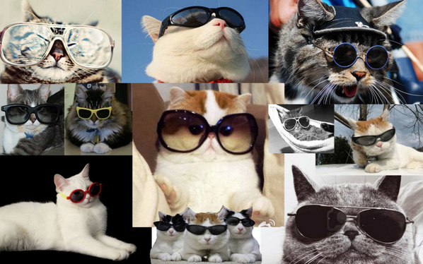 Visit the Print Stop...cause we're cool cats! #HappyMonday