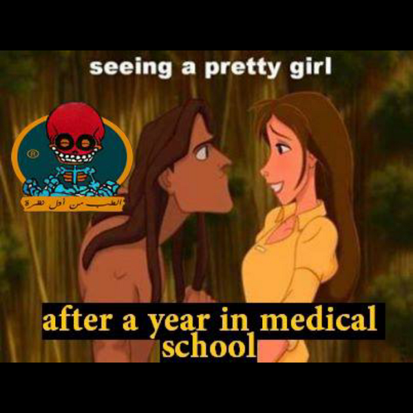 Abdulrahman_kz tweet picture