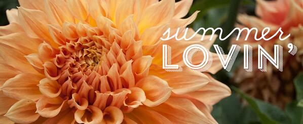 HolidayCleanup's tweet image. Love these cute free downloads from @nicolesclasses