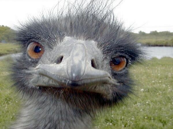 madz8192's tweet photo. @Jasminemonroe77 
Where's ma chicken ;-) http://t.co/BIola5jfYw