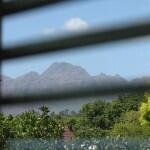 #stellenbosch views from our bedrooms. #goodoldfashioned hospitality. magnolia-place.co.za