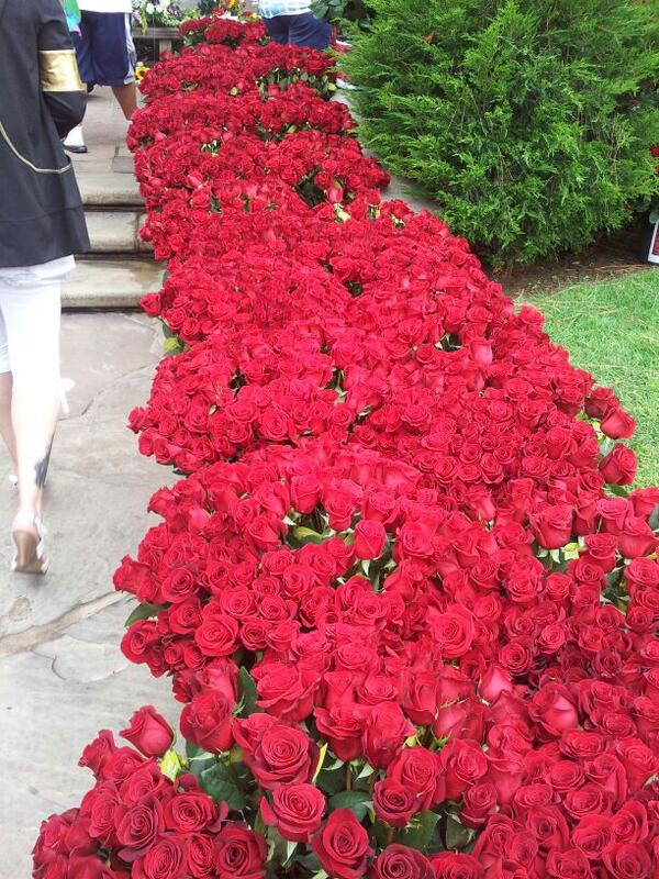 Oltre 13.000 rose per Michael al Forest Lawn BNjD6Q0CMAQtbQM