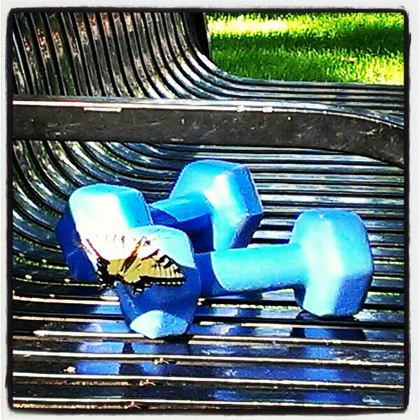 MalkyTrainer's tweet image. Great outdoor workout! #nature