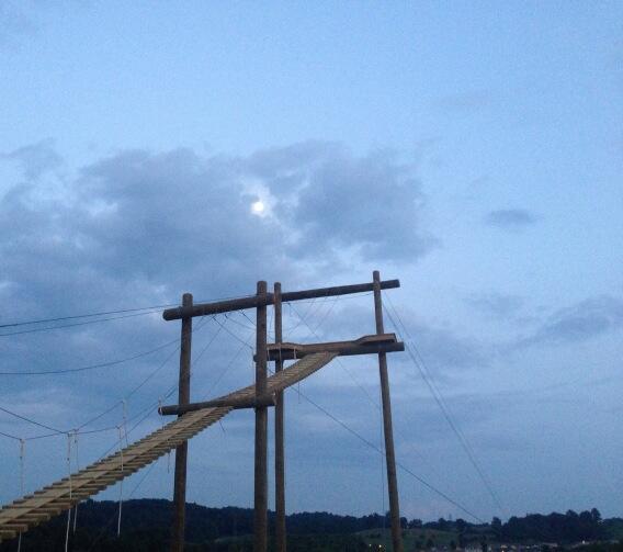 StickleyFarm's tweet image. 