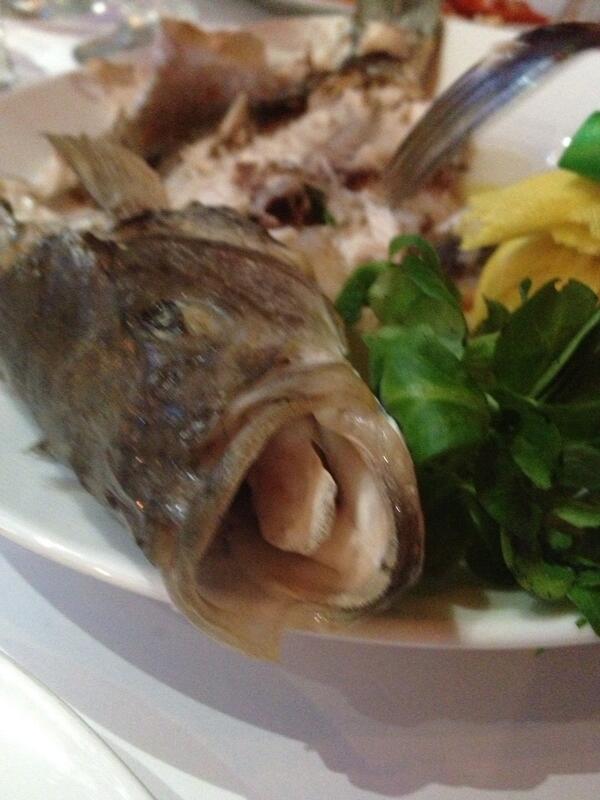 MarinkaNYC on Twitter "Holy shit, do fish have tongues?! http//t.co