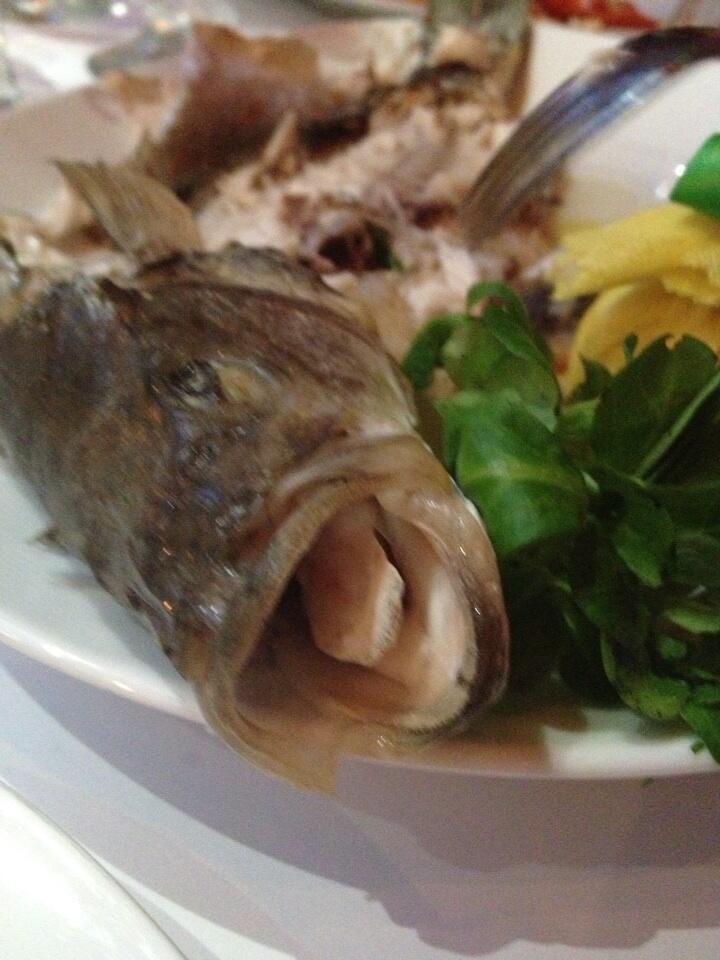 MarinkaNYC on Twitter "Holy shit, do fish have tongues?! http//t.co