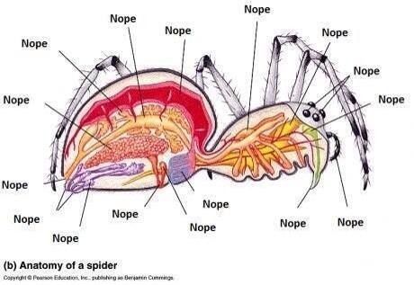 Nick (@fearedulfhednar) on Twitter photo 