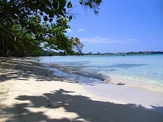 tryojen's tweet image. #jamaïque #alohaevasion