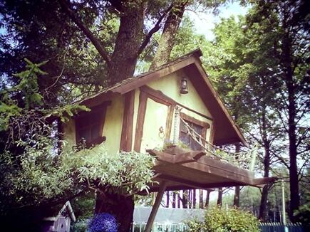 AtraNubes's tweet image. ДиносПарк #ДомНаДереве gfranq.com/ekaterinaavis#…