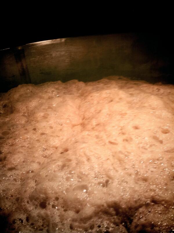 HowlingHops's tweet image. Well that looks like a healthy acidic fermentation. Sour mash - a success. Howling Hops Sour anyone?