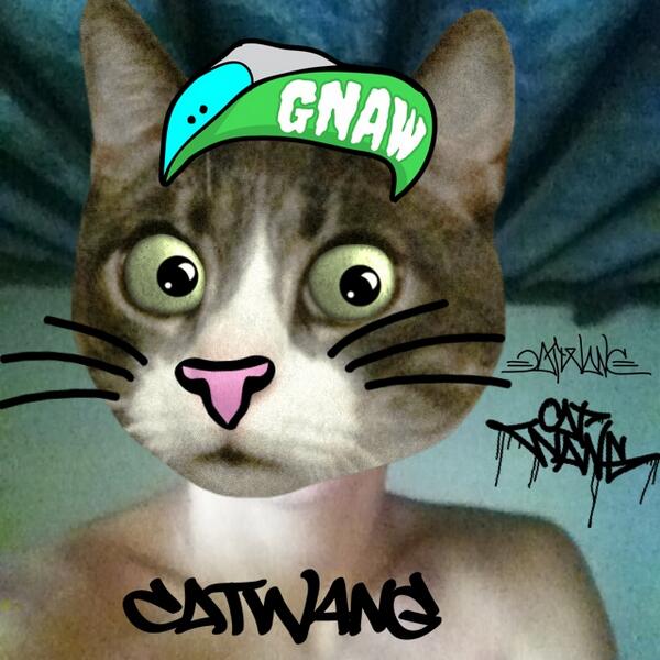 danielavileslol's tweet photo. Made using @Catgnaw's #Catwang Free for the App Store! http://t.co/0EbyuqkFrj http://t.co/czTJV9xPHh