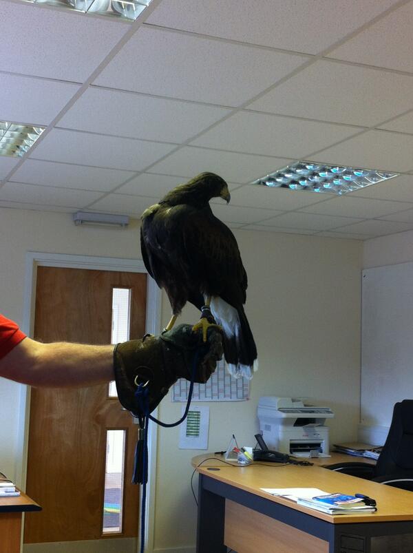 Huck Play tweet media