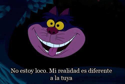 LaMismaEstreIla tweet picture