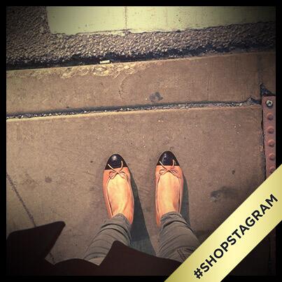 RegencySqMall's tweet photo. Everyone has a pair! Instagram your fave pair of shoes &amp; include #Shopstagram.  5 more daily winners today! http://t.co/OdKgpGajV1