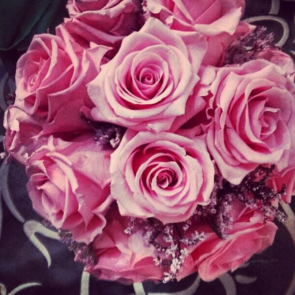 bloomflors's tweet photo. http://t.co/ndxOqx9Ule