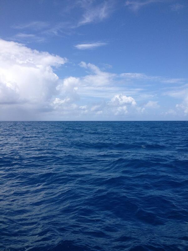 OceanSupport tweet picture