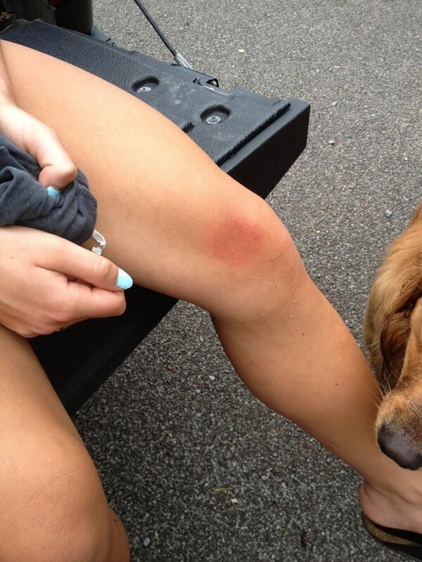 SmithMJustin's tweet image. @JennaChallenger good job at stopping the wild pitch. #98mphheater #pitchingpractice #greatgf #mlb #welt