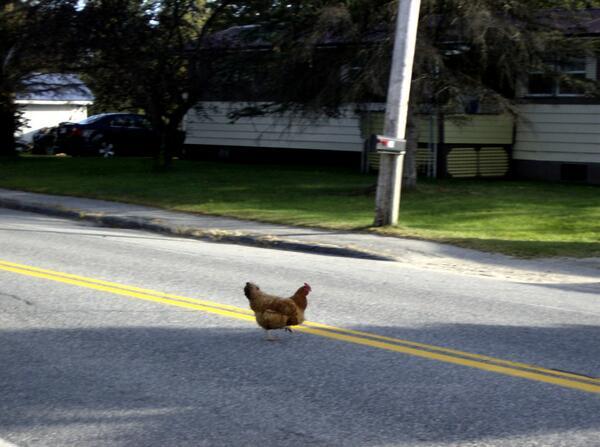 Saw this guy and was like, "Oh, man! Have I got a question for you."