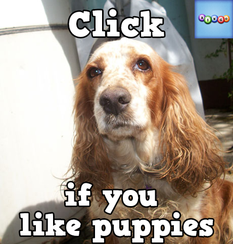 Lady Precious tweet media