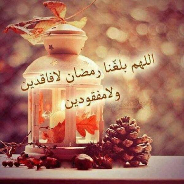 محمد العبدالله tweet media