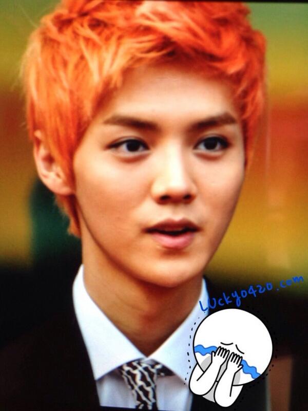 130626 강남관광정보센터 개관식 #luhan
