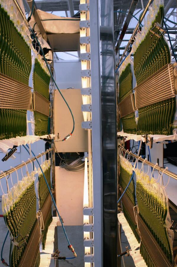 AlgaePARC tweet media